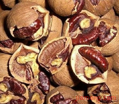 浙江的山核桃 LY5IWXEL.jpg