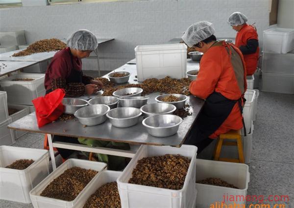 石家庄市远东边贸商行加盟连锁火爆招商中--全